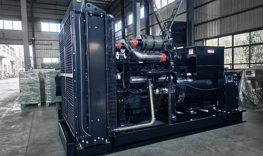 Briefly describe the maintenance process of diesel generator fuel system