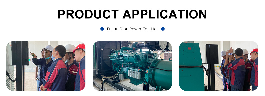 Fujian-Diou-Power-Co-Ltd- (10)