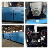 Customer Factory Inspection and FAT Acceptance for 320kVA Cummins QSL8.9-G30 Silent Diesel Generator for Oilfield Project